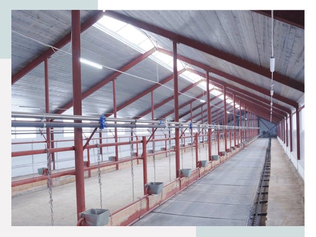 Строительство коровников в юбилейном от 618 руб.