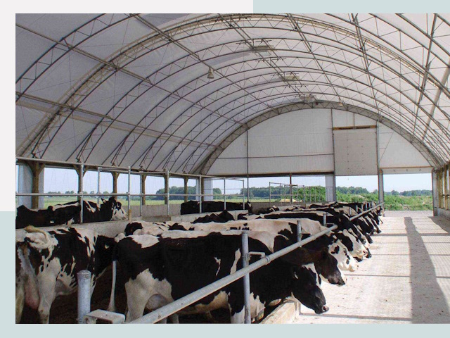 Тентовые коровники в юбилейном